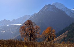 Осень / Поздняя осень на Софийской поляне