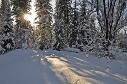 Зимний день / Сибирь,Кузбасс