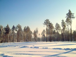 &nbsp; / В Иркутской области