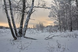 Зимний вечер / московская обл.