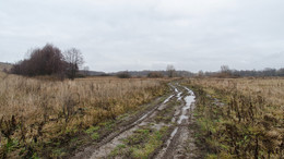 Когда зима без снега... / 31 декабря,+4 градуса тепла.
Суджа,Курская обл.