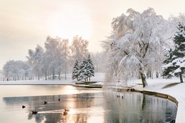 Зима у реки / Зима у реки