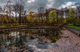 Прошедшей осенью. / Сокольники.