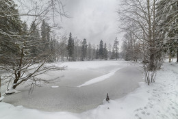 Мокрый снегопад / Абрамцево