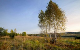 Нежный осенний рассвет / Рассветное.