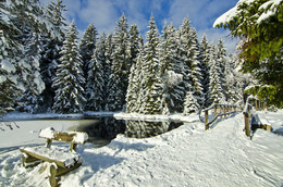Хороший день. / зима,снег,солнце,прогулка,мост