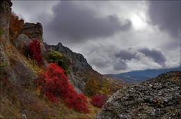 И в серые будни - яркие краски .... Демерджи ... / Крым, горы,осень, Демерджи