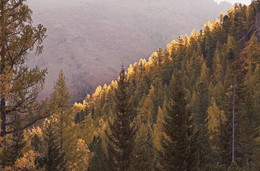 ГЕОМЕТРИЯ ОСЕНИ** / ГОРНЫЙ АЛТАЙ