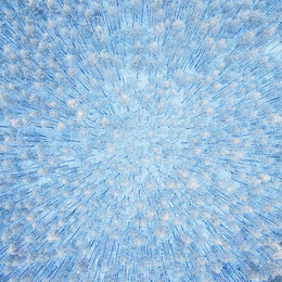   / Ярославская область