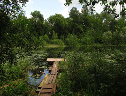 На лесном озере / Старинная усадьба князей Вяземских. Летние зарисовки