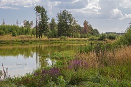 &nbsp; / озеро Моховое,Татарстан,Лаишевский район