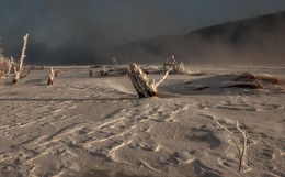 Сказка зимнего берега. / Морозное безмолвие..