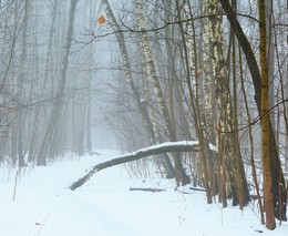 Загадочное утро ... / Утро ...