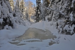 С первым днем зимы / Сибирь, Кузбасс