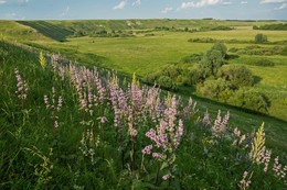 &nbsp; / Татарстан,с.Камаево,