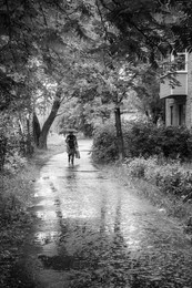 Мокрая пятница / Летний дождик, аллея у дороги.