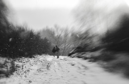 тихое / зима