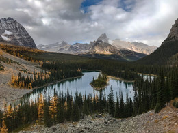 YOHO / National park Yoho.