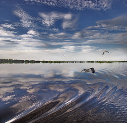 Плывем на теплоходе... / Путешествие по Волге ( из архива )...