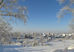 Зима... / Ленинградская обл.