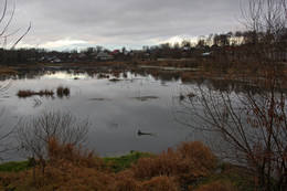 На берегу реки Серая / Александров, Владимирская область