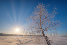 Мороз и солнце / Морозное утро на льду залива. 
Чусовая, Пермский край.