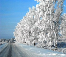 зимний день / Смоленская область