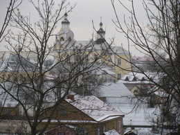 В ветвях деревьев / Новогрудок