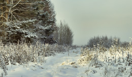 снежная фоточка II / Свердловская область, 21 января 2018 года от Р. Х.