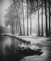 No milk today / No milk today