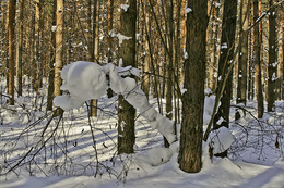 СНЕЖНЫЕ ЗАРИСОВКИ В ЛЕСУ / Зима в татарстанском лесу. Снежная голова висит на палочке, смотрит налево.