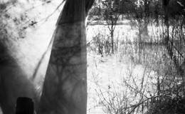 Не первый снег / Смена-35
пленка Rollei Retro 80s
проявитель d-76
время проявки 12,5 минут
