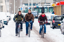 Bicycling in snow / Optimistic bicyclers in snowy Rotterdam