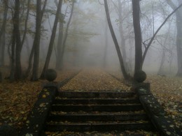 В старом парке.... / Железноводск. Октябрь