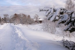 Не первый снег / Февраль,изменчивость погоды. Ивановская обл,деревня Красницы.