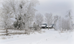 Хороша моя деревня зимнем да морозным днём! В белом инее деревья чистый снег лежит ковром! / ..........................