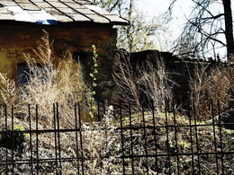 На задворках / 2015-05-07-130-C00-042(82)+C