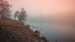 Утро в Путиловском лесу / Путиловкая рыбалка