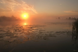 Рассвет на озере. / Озеро Сосновое у посёлка Белоомут.