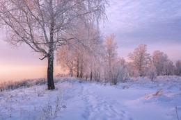 Зимний вечер. / ***