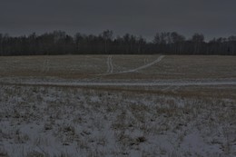 Время, когда волки выходят на охоту... / Поздние сумерки ...