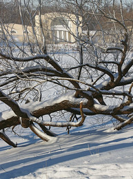 Творения природы и человека.. / Парк Кузьминки в Москве...