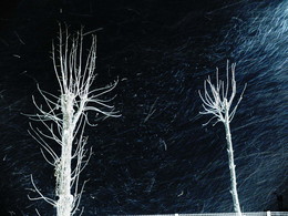 Winterabend / 2018-01-09-28-C00-046(80)