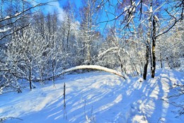 &quot;Вечер ты помнишь, вьюга злилась...&quot; / Наконец-то солнечный денек ...