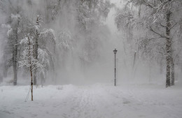 И дремал зимний парк, запорошенный снегом... / Москва,парк