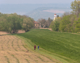 &nbsp; / Ländliche Szene in Rheinhessen