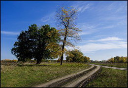 Осенние зарисовки / Осень