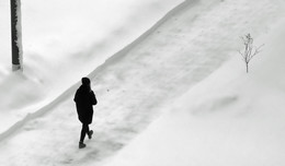 О большой лжи, хрупкой правде и дороге, которую выбираем. / ***