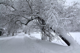 Снегопад в Москве. / Москва.