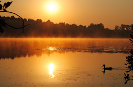 Золотого дня начало. / Солнце поднимается над озером.